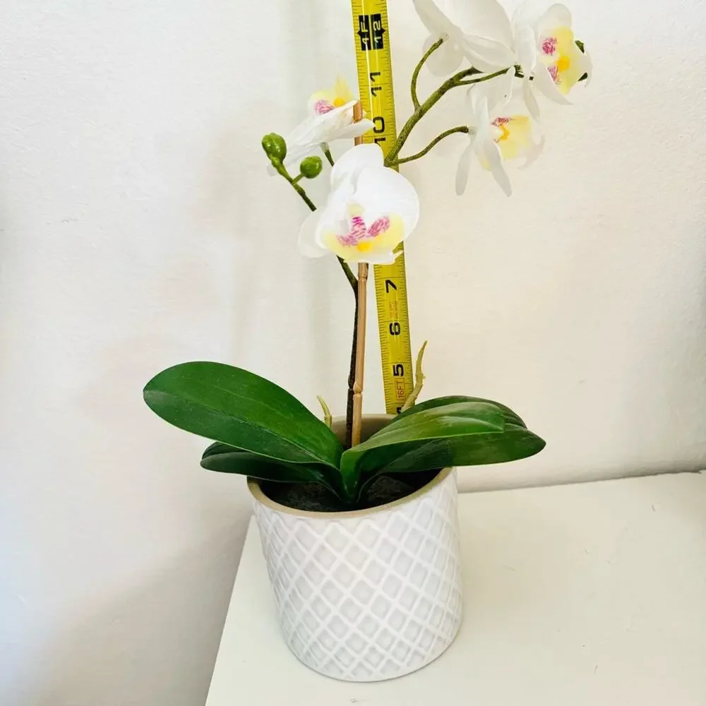 POTTERY BARN White Orchid Faux Plant Planter White Ceramic Etched Geo Pot Decor